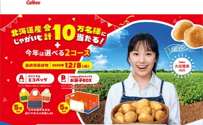 「カルビー ポテトチップス お菓子BOX」「エコバッグ」