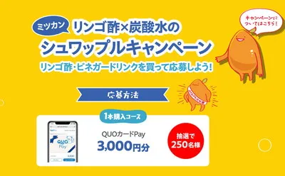 QUOカードPay3,000円分