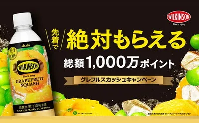 ウィルキンソン グレフルスカッシュ購入で「PayPayポイントなどが必ずもらえる」キャンペーン!