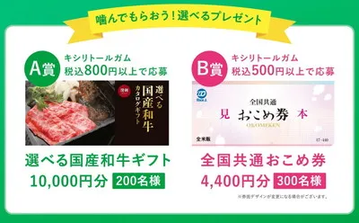 「選べる国産和牛カタログギフト 1万円」「おこめ券 4400円」当たる!