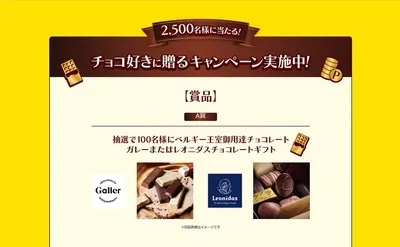 「ベルギー王室御用達チョコレートギフト」「PayPayポイント1,000円」当たる!