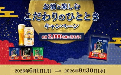 「堅あげポテトで乾杯!セット」「ながら時間満喫セット」「Amazonギフトカード500円」当たる!