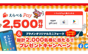 「えらべるPay2,500円分（ブタメンオリジナルミニフォーク付き）」