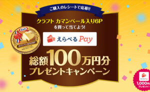 「えらべるPay 総額100万円分」当たる！