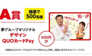 「夢グループ オリジナルデザイン QUOカードPay 500円」