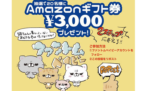 「Amazonギフト券 3000円」