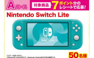 「Nintendo Switch Lite」「ムビチケ 映画GIFT 8,000円」