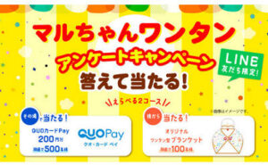 「QUOカードPay」「ワンタン型ブランケット」