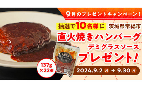 「直火焼ハンバーグ デミグラスソース」