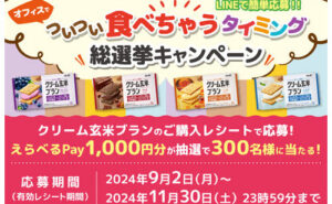 「えらべるPay 1,000円分」