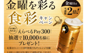 「えらべるPay 300ポイント」10,000名様！