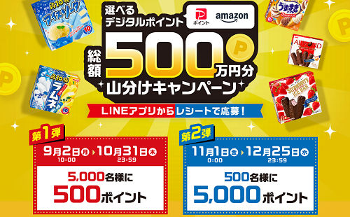 「選べるデジタルポイント500万円分山分け」