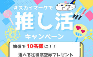 「スカイマークの往復航空券」