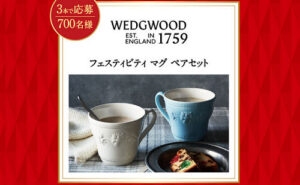 「WEDGWOOD (ウェッジウッド) フェスティビティ マグ ペアセット」