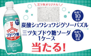 「三ツ矢ブドウ糖ソーダ1ケース（PET500ml×24本）」