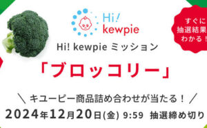 「Hi! kewpie ミッションプレゼント（キユーピー商品詰め合わせ）」