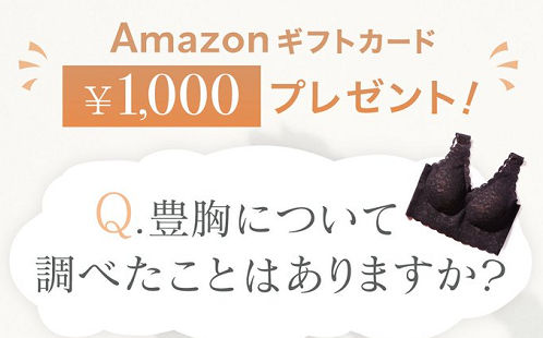 Amazonギフト1,000円分