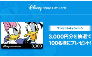 「ディズニーストア ギフトカード 3,000円分」