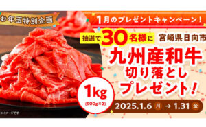 「九州産和牛切り落とし1.0kg」