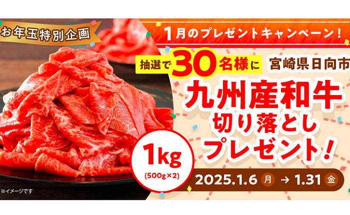 「九州産和牛切り落とし1.0kg」