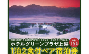 「上越国際スキー場・ホテルグリーンプラザ上越　1泊2食付ペア宿泊券」