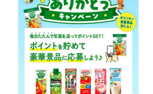 「えらべるPay 2,000円」「あなたの健康応援セット」