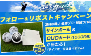 「優勝プロのサインボール」「QUOカード 1000円」