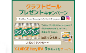 「クラフトビール X-LARGE Hazy IPA 3本セット」